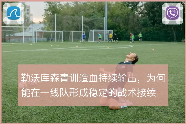 勒沃库森青训造血持续输出，为何能在一线队形成稳定的战术接续